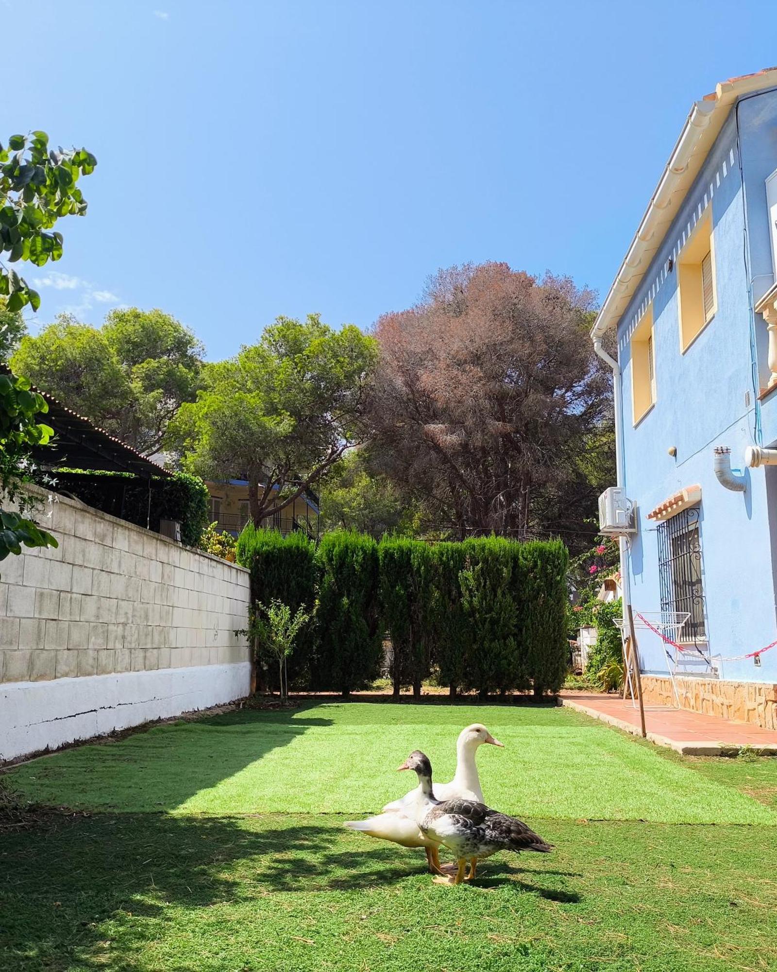 Estudio Las Rotas Dénia Buitenkant foto